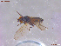  ( - UAM:Ento:450139)  @11 [ ] CreativeCommons  Attribution Non-Commercial No Derivatives (2022) Derek Sikes University of Alaska Museum