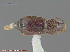  ( - UAM:Ento:153501)  @13 [ ] CreativeCommons - Attribution Non-Commercial No Derivatives (2014) Derek Sikes University of Alaska Museum