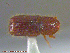  ( - UAM:Ento:166858)  @13 [ ] CreativeCommons - Attribution Non-Commercial No Derivatives (2014) Derek Sikes University of Alaska Museum