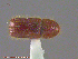  ( - UAM:Ento:166860)  @11 [ ] CreativeCommons - Attribution Non-Commercial No Derivatives (2014) Derek Sikes University of Alaska Museum