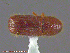  ( - UAM:Ento:166859)  @13 [ ] CreativeCommons - Attribution Non-Commercial No Derivatives (2014) Derek Sikes University of Alaska Museum