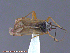  ( - UAM:Ento:180448)  @13 [ ] CreativeCommons - Attribution Non-Commercial No Derivatives (2014) Derek Sikes University of Alaska Museum
