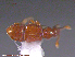  ( - UAM:Ento:207116)  @13 [ ] CreativeCommons - Attribution Non-Commercial No Derivatives (2015) Derek Sikes University of Alaska Museum
