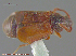  (Haida - UAM:Ento:210252)  @11 [ ] CreativeCommons - Attribution Non-Commercial No Derivatives (2014) Derek Sikes University of Alaska Museum