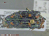  ( - UAM:Ento:211008)  @13 [ ] CreativeCommons - Attribution Non-Commercial No Derivatives (2014) Derek Sikes University of Alaska Museum