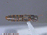  ( - UAM:Ento:237030)  @12 [ ] CreativeCommons - Attribution Non-Commercial No Derivatives (2015) Derek Sikes University of Alaska Museum