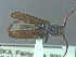  ( - UAM:Ento:236966)  @12 [ ] CreativeCommons - Attribution Non-Commercial No Derivatives (2014) Derek Sikes University of Alaska Museum