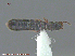  ( - UAM:Ento:237914)  @12 [ ] CreativeCommons - Attribution Non-Commercial No Derivatives (2015) Derek Sikes University of Alaska Museum