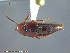  ( - UAM:Ento:240511)  @14 [ ] CreativeCommons - Attribution Non-Commercial No Derivatives (2014) Derek Sikes University of Alaska Museum