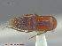  ( - UAM:Ento:240512)  @13 [ ] CreativeCommons - Attribution Non-Commercial No Derivatives (2014) Derek Sikes University of Alaska Museum