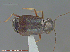  ( - UAM:Ento:256236)  @13 [ ] CreativeCommons - Attribution Non-Commercial No Derivatives (2014) Derek Sikes University of Alaska Museum