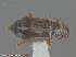  ( - UAM:Ento:275545)  @12 [ ] CreativeCommons - Attribution Non-Commercial No Derivatives (2014) Derek Sikes University of Alaska Museum