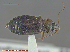  ( - UAM:Ento:275765)  @13 [ ] CreativeCommons - Attribution Non-Commercial No Derivatives (2014) Derek Sikes University of Alaska Museum