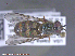  ( - UAM:Ento:286351)  @13 [ ] CreativeCommons - Attribution Non-Commercial No Derivatives (2015) Derek Sikes University of Alaska Museum
