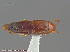  ( - UAM:Ento:289233)  @13 [ ] CreativeCommons - Attribution Non-Commercial No Derivatives (2014) Derek Sikes University of Alaska Museum