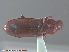  ( - UAM:Ento:291215)  @12 [ ] CreativeCommons - Attribution Non-Commercial No Derivatives (2015) Derek Sikes University of Alaska Museum