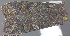  ( - KWP:Ento:14119)  @12 [ ] CreativeCommons - Attribution Non-Commercial No Derivatives (2015) Derek Sikes University of Alaska Museum
