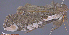  ( - KWP:Ento:14881)  @12 [ ] CreativeCommons - Attribution Non-Commercial No Derivatives (2015) Derek Sikes University of Alaska Museum