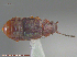  ( - UAM:Ento:293201)  @11 [ ] CreativeCommons - Attribution Non-Commercial No Derivatives (2014) Derek Sikes University of Alaska Museum