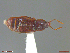  ( - UAM:Ento:297513)  @11 [ ] CreativeCommons  Attribution Non-Commercial No Derivatives (2018) Derek Sikes University of Alaska Museum