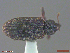  ( - UAM:Ento:307102)  @11 [ ] CreativeCommons  Attribution Non-Commercial No Derivatives (2018) Derek Sikes University of Alaska Museum