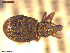  ( - UAM:Ento:311952)  @11 [ ] CreativeCommons  Attribution Non-Commercial No Derivatives (2021) Derek Sikes University of Alaska Museum
