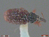  ( - UAM:Ento:349350)  @11 [ ] CreativeCommons  Attribution Non-Commercial No Derivatives (2018) Derek Sikes University of Alaska Museum