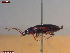  ( - UAM:Ento:482748)  @11 [ ] CreativeCommons  Attribution Non-Commercial No Derivatives (2023) Derek Sikes University of Alaska Museum