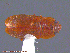  ( - UAM:Ento:122357)  @13 [ ] CreativeCommons - Attribution Non-Commercial No Derivatives (2014) Derek Sikes University of Alaska Museum
