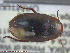  ( - UAM:Ento:140921)  @13 [ ] CreativeCommons - Attribution Non-Commercial No Derivatives (2014) Derek Sikes University of Alaska Museum