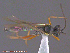  ( - UAM:Ento:145047)  @12 [ ] CreativeCommons - Attribution Non-Commercial No Derivatives (2014) Derek Sikes University of Alaska Museum