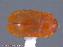  ( - UAM:Ento:214549)  @12 [ ] CreativeCommons - Attribution Non-Commercial No Derivatives (2014) Derek Sikes University of Alaska Museum