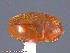  ( - UAM:Ento:215757)  @12 [ ] CreativeCommons - Attribution Non-Commercial No Derivatives (2014) Derek Sikes University of Alaska Museum