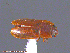  ( - UAM:Ento:241261)  @13 [ ] CreativeCommons - Attribution Non-Commercial No Derivatives (2014) Derek Sikes University of Alaska Museum