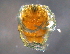  ( - BIOUG15122-D11)  @11 [ ] CreativeCommons - Attribution (2015) CBG Photography Group Centre for Biodiversity Genomics