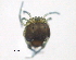  ( - BIOUG15122-E01)  @11 [ ] CreativeCommons - Attribution (2014) CBG Photography Group Centre for Biodiversity Genomics