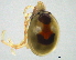 ( - BIOUG15122-G01)  @13 [ ] CreativeCommons - Attribution (2014) CBG Photography Group Centre for Biodiversity Genomics