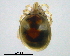  ( - BIOUG15122-G02)  @13 [ ] CreativeCommons - Attribution (2014) CBG Photography Group Centre for Biodiversity Genomics
