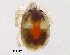  ( - BIOUG15122-G03)  @13 [ ] CreativeCommons - Attribution (2014) CBG Photography Group Centre for Biodiversity Genomics