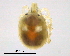  ( - BIOUG15123-B07)  @13 [ ] CreativeCommons - Attribution (2014) CBG Photography Group Centre for Biodiversity Genomics