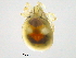  ( - BIOUG15123-B09)  @13 [ ] CreativeCommons - Attribution (2014) CBG Photography Group Centre for Biodiversity Genomics