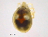  ( - BIOUG15123-B10)  @13 [ ] CreativeCommons - Attribution (2014) CBG Photography Group Centre for Biodiversity Genomics