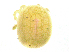  ( - BIOUG19579-A08)  @11 [ ] CreativeCommons - Attribution (2018) CBG Photography Group Centre for Biodiversity Genomics