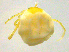  ( - BIOUG19580-B07)  @11 [ ] CreativeCommons - Attribution (2019) CBG Photography Group Centre for Biodiversity Genomics