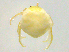  ( - BIOUG19580-B08)  @11 [ ] CreativeCommons - Attribution (2019) CBG Photography Group Centre for Biodiversity Genomics