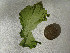 ( - GWS003734)  @11 [ ] Unspecified (default): All Rights Reserved  Unspecified Unspecified