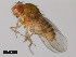  ( - 14027-0461.03)  @11 [ ] Copyright (2011) CBG Photography Group Centre for Biodiversity Genomics