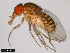  ( - 15082-1541.04)  @11 [ ] CreativeCommons - Attribution Non-Commercial Share-Alike (2011) ANIC/CBG Photography Group ANIC/Centre for Biodiversity Genomics