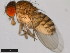  ( - 15082-1541.09)  @11 [ ] CreativeCommons - Attribution Non-Commercial Share-Alike (2011) ANIC/CBG Photography Group ANIC/Centre for Biodiversity Genomics