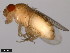 ( - 15085-1621.03)  @11 [ ] CreativeCommons - Attribution Non-Commercial Share-Alike (2011) ANIC/CBG Photography Group ANIC/Centre for Biodiversity Genomics